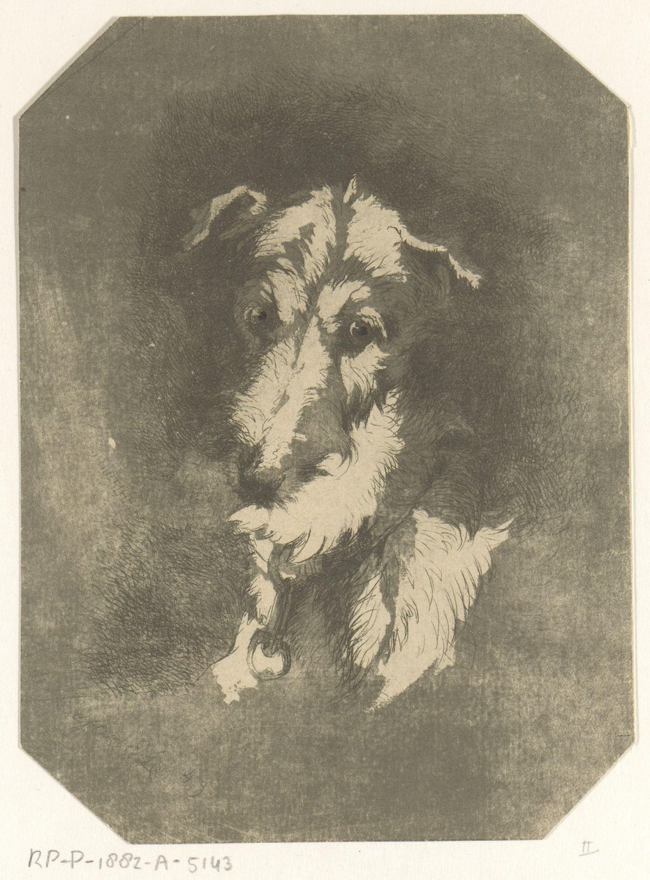 Hlava chrta od Jan Karel Jacob de Jonge