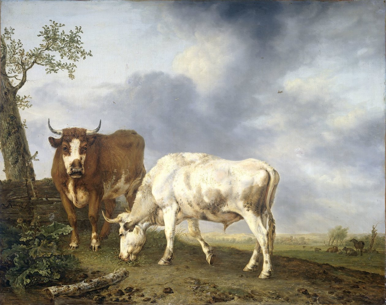 Voli na louce od Jan Kobell (II)