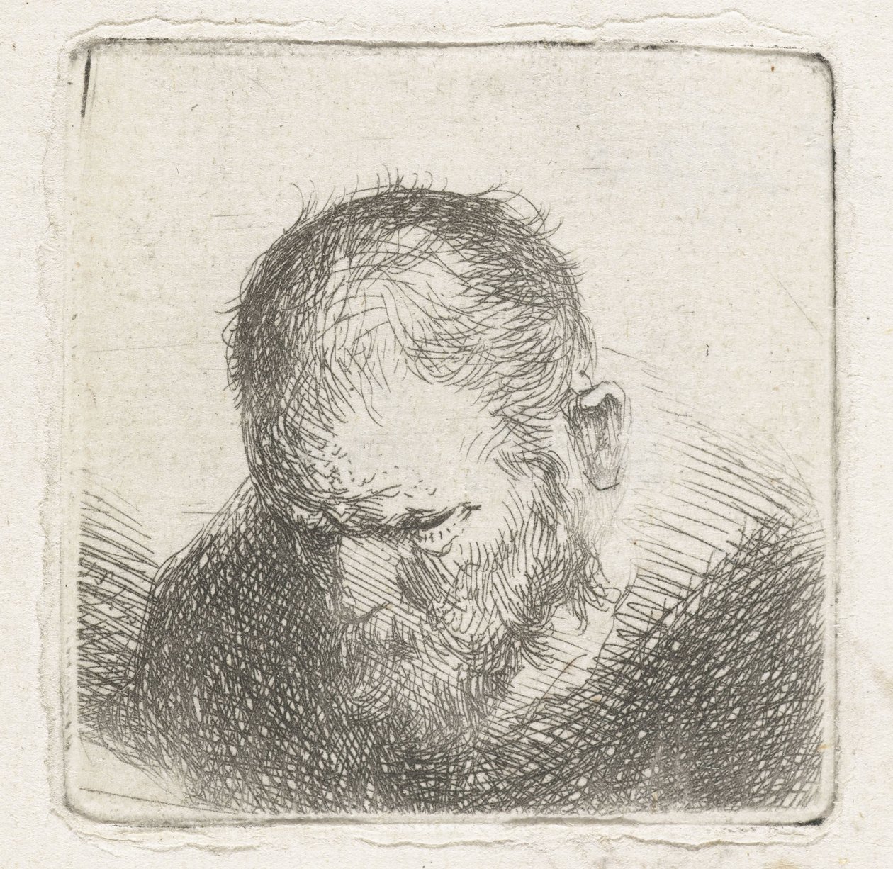 muž s plnovousem od Jan Lievens (possibly)