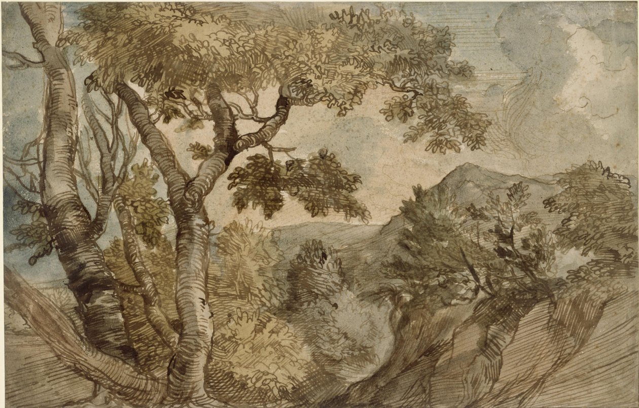 Hornatá krajina se skupinou stromů od Jan Lievens