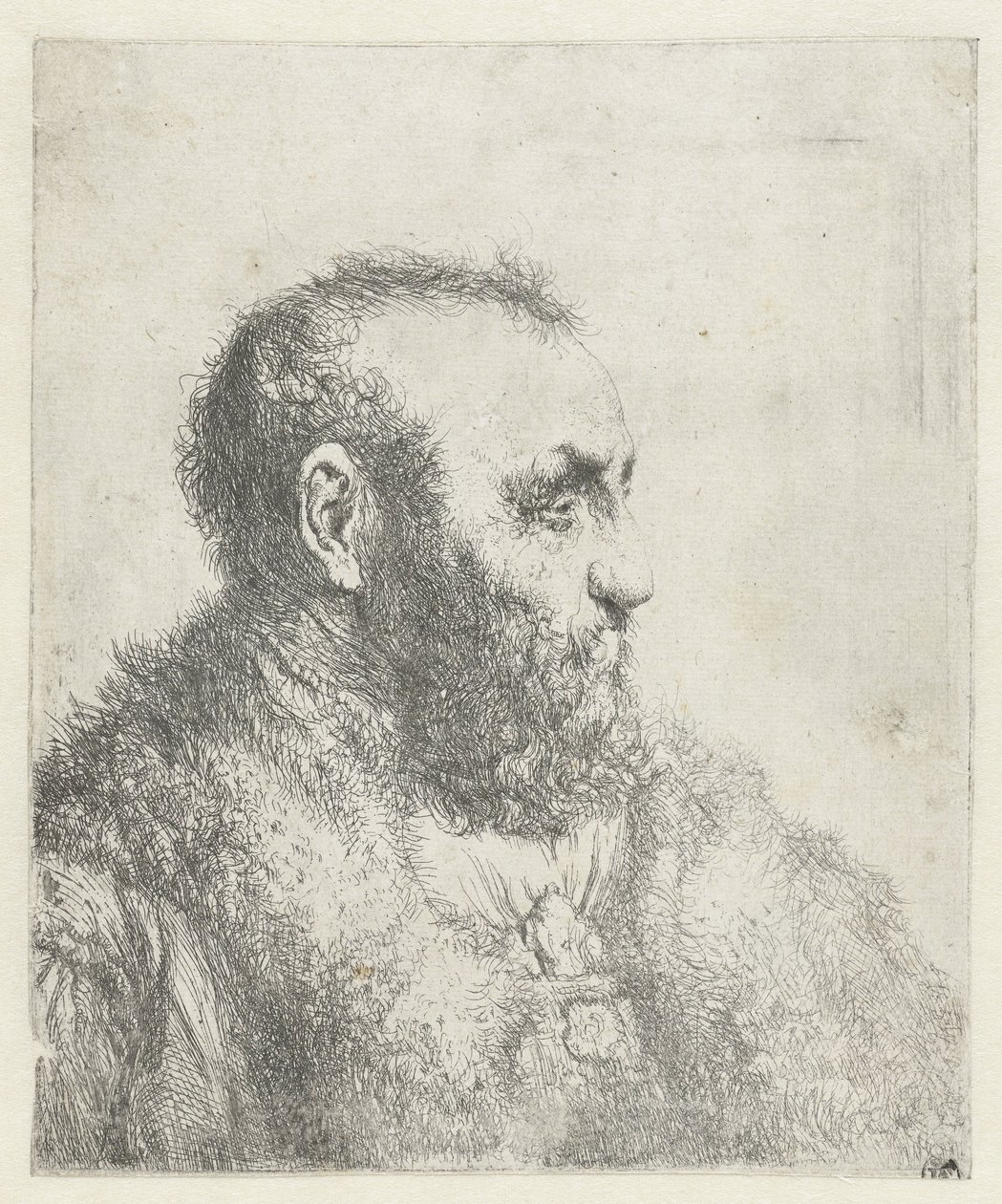 Busta starého muže s kožichem od Jan Lievens