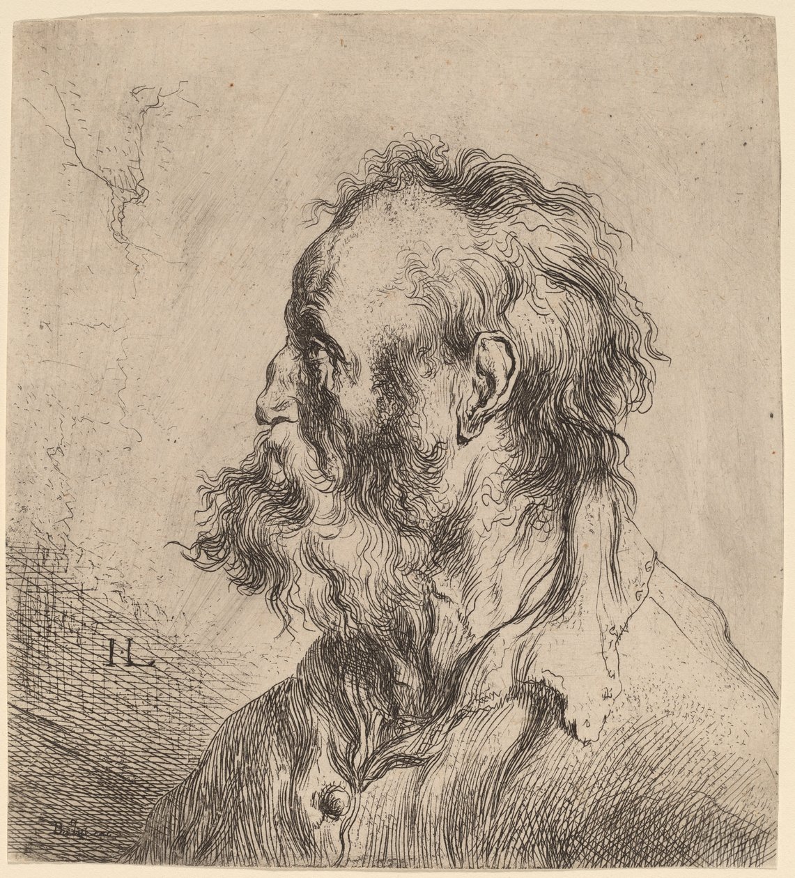 Busta vousatého starce od Jan Lievens