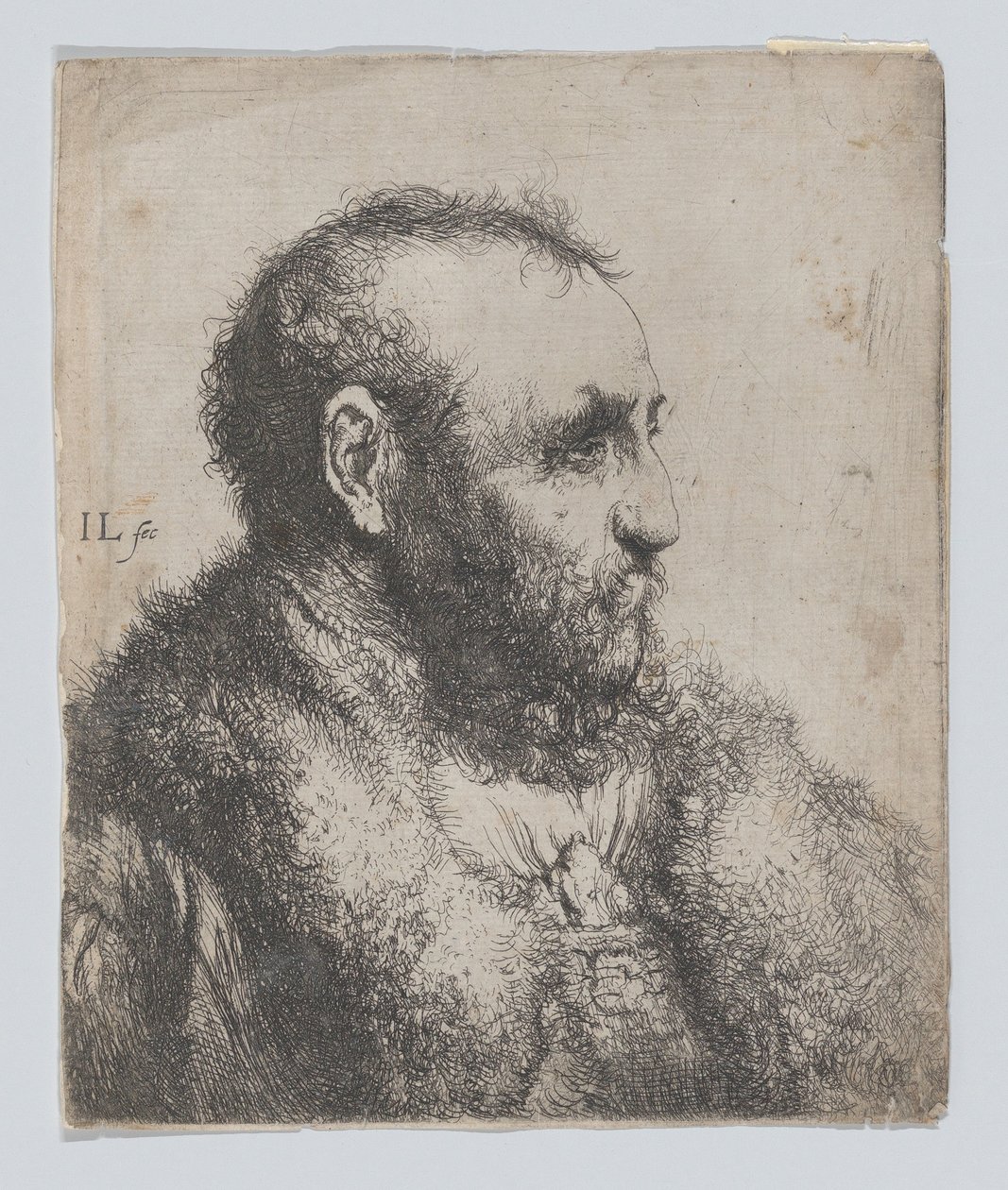 Busta starého muže s kožešinovým límcem od Jan Lievens