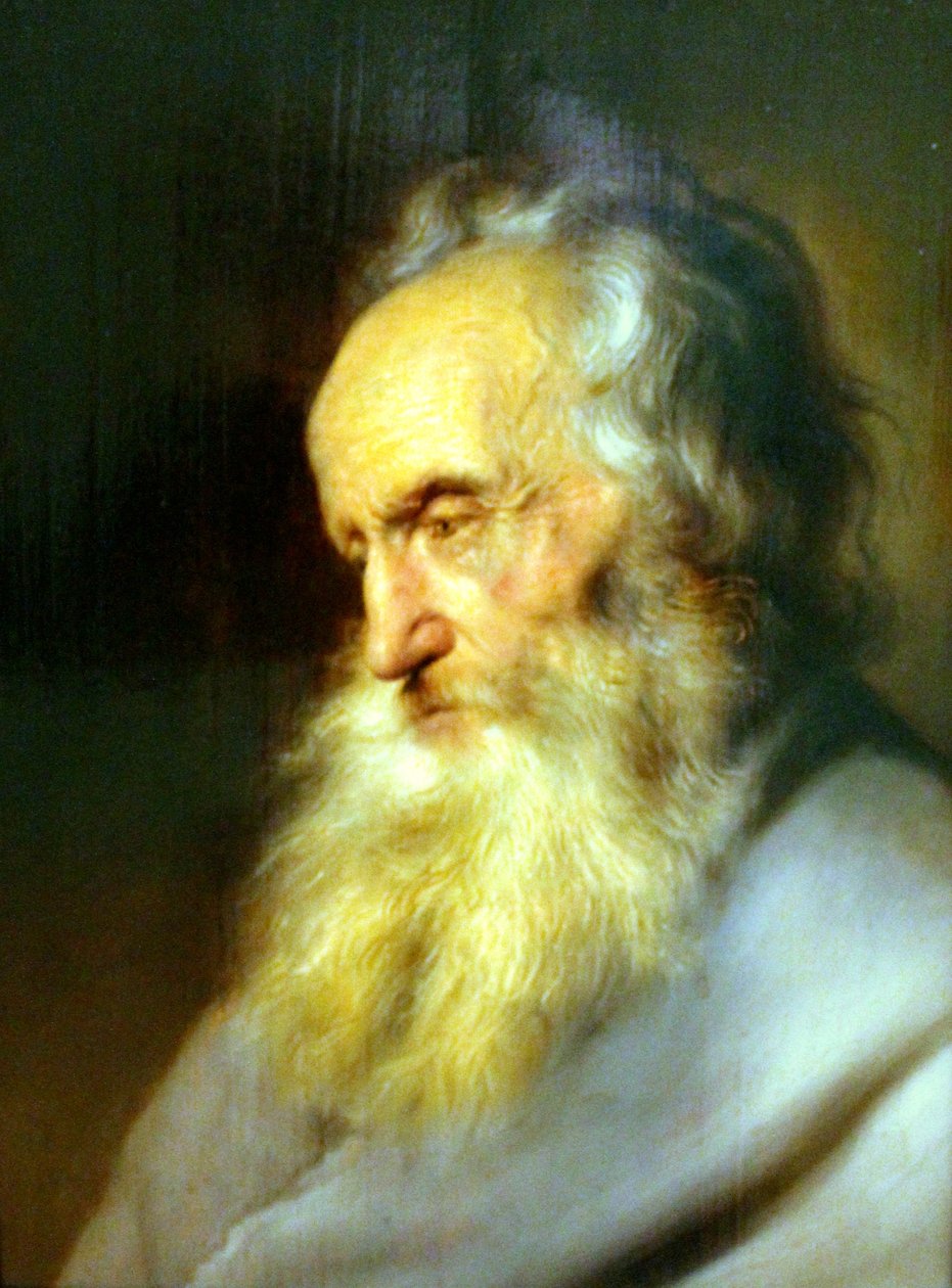 Busta starého muže od Jan Lievens