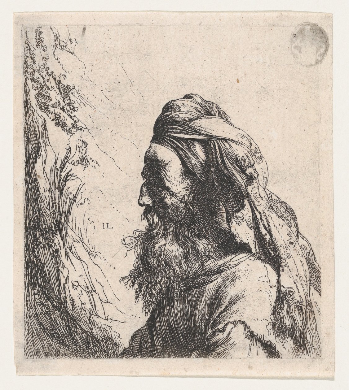 Muž v turbanu obrácený doleva od Jan Lievens