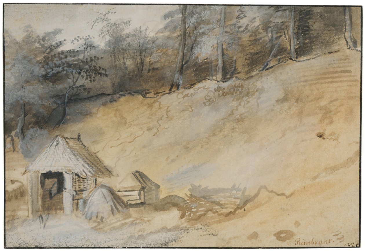 Písčitý svah s chatou od Jan Lievens