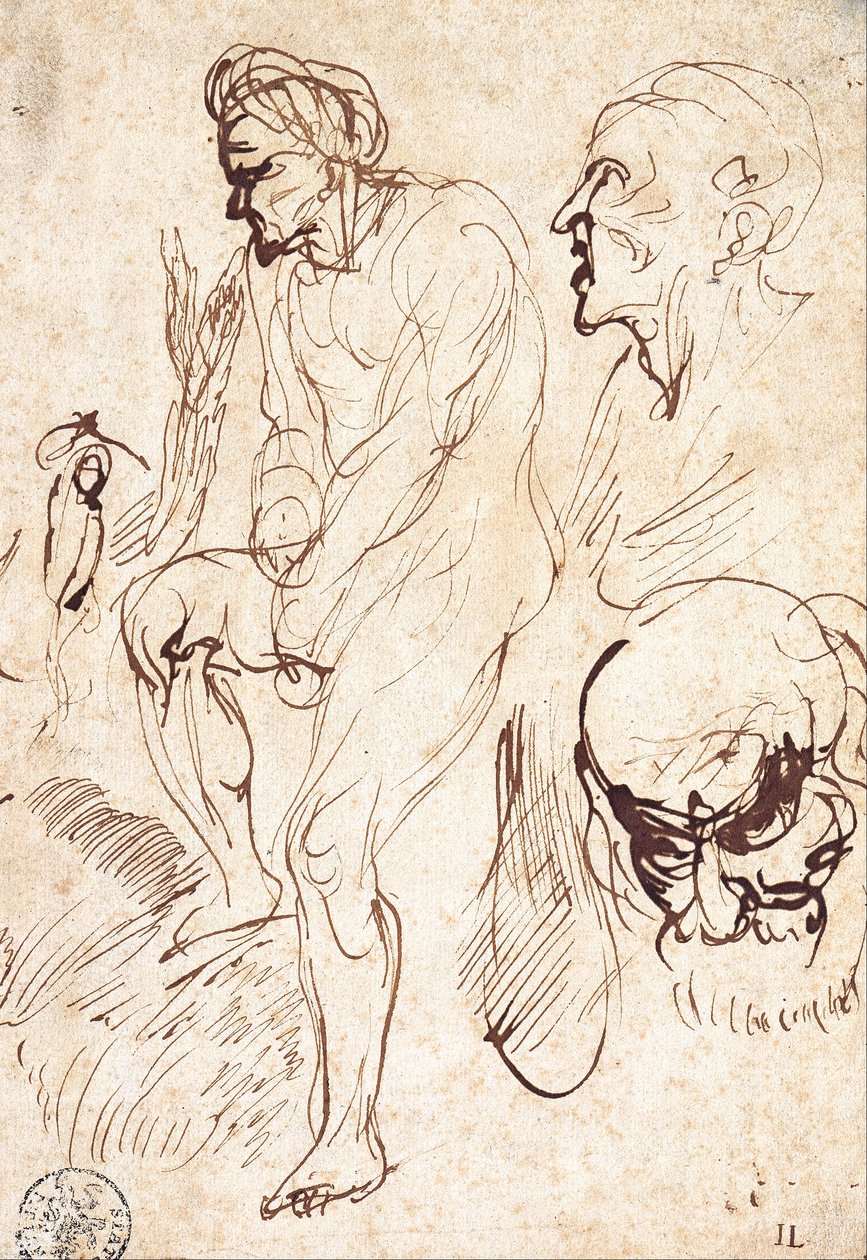 Studie podle modelu od Jan Lievens