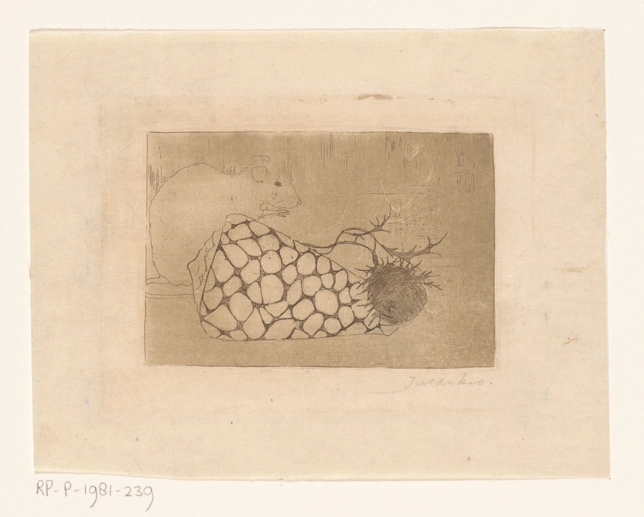 Myš, mušle a bodlák od Jan Mankes (signed by artist)