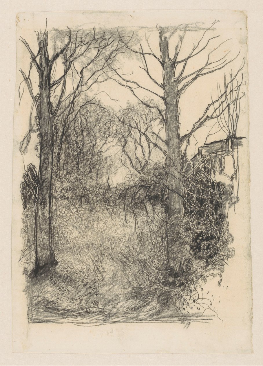 okraj lesa od Jan Mankes