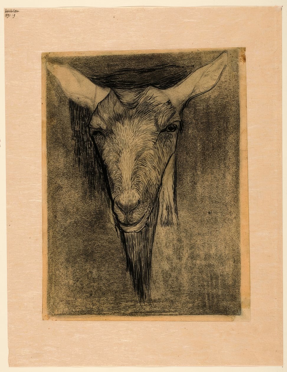 Hlava kozy od Jan Mankes