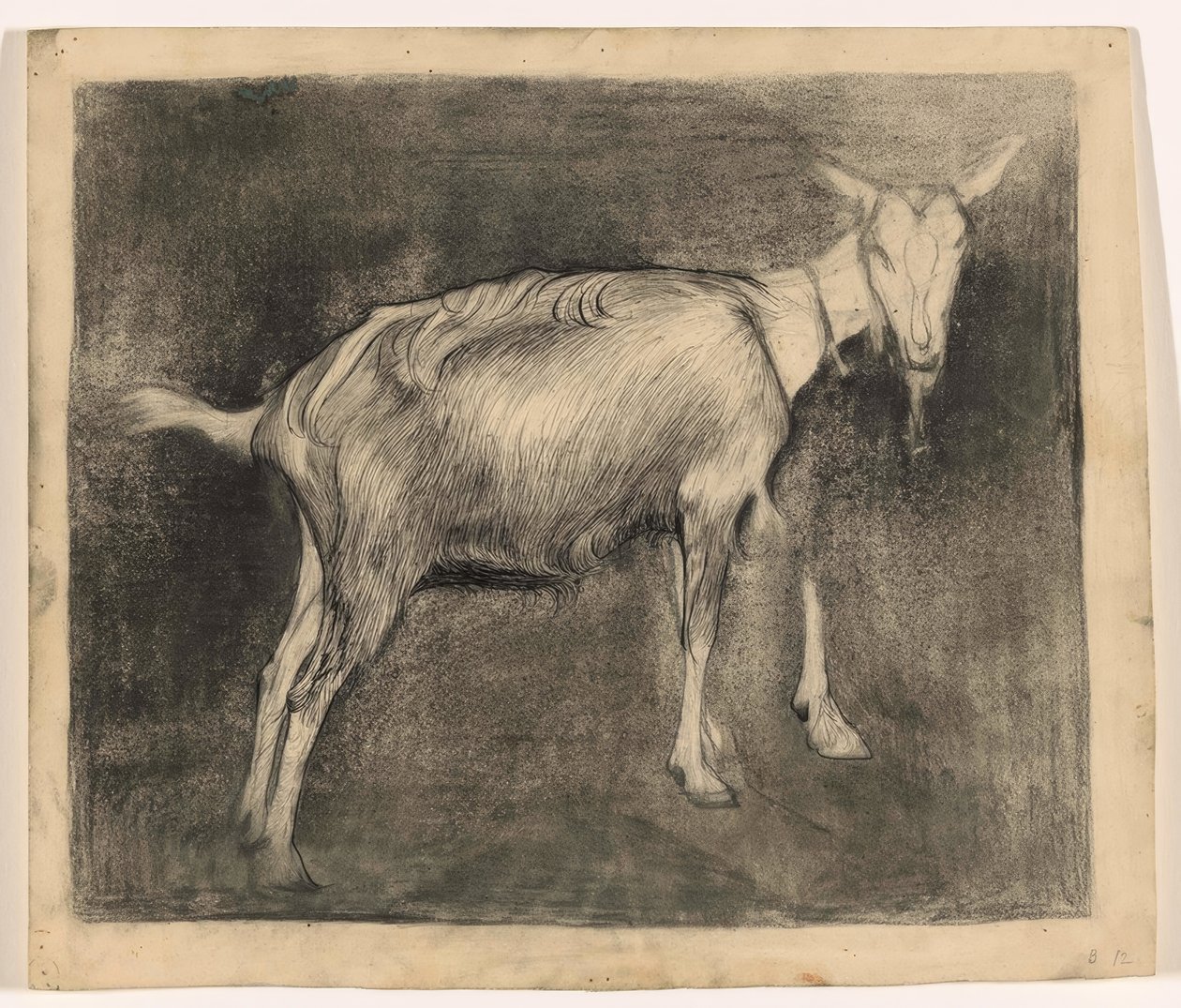 Stojící koza, vpravo od Jan Mankes