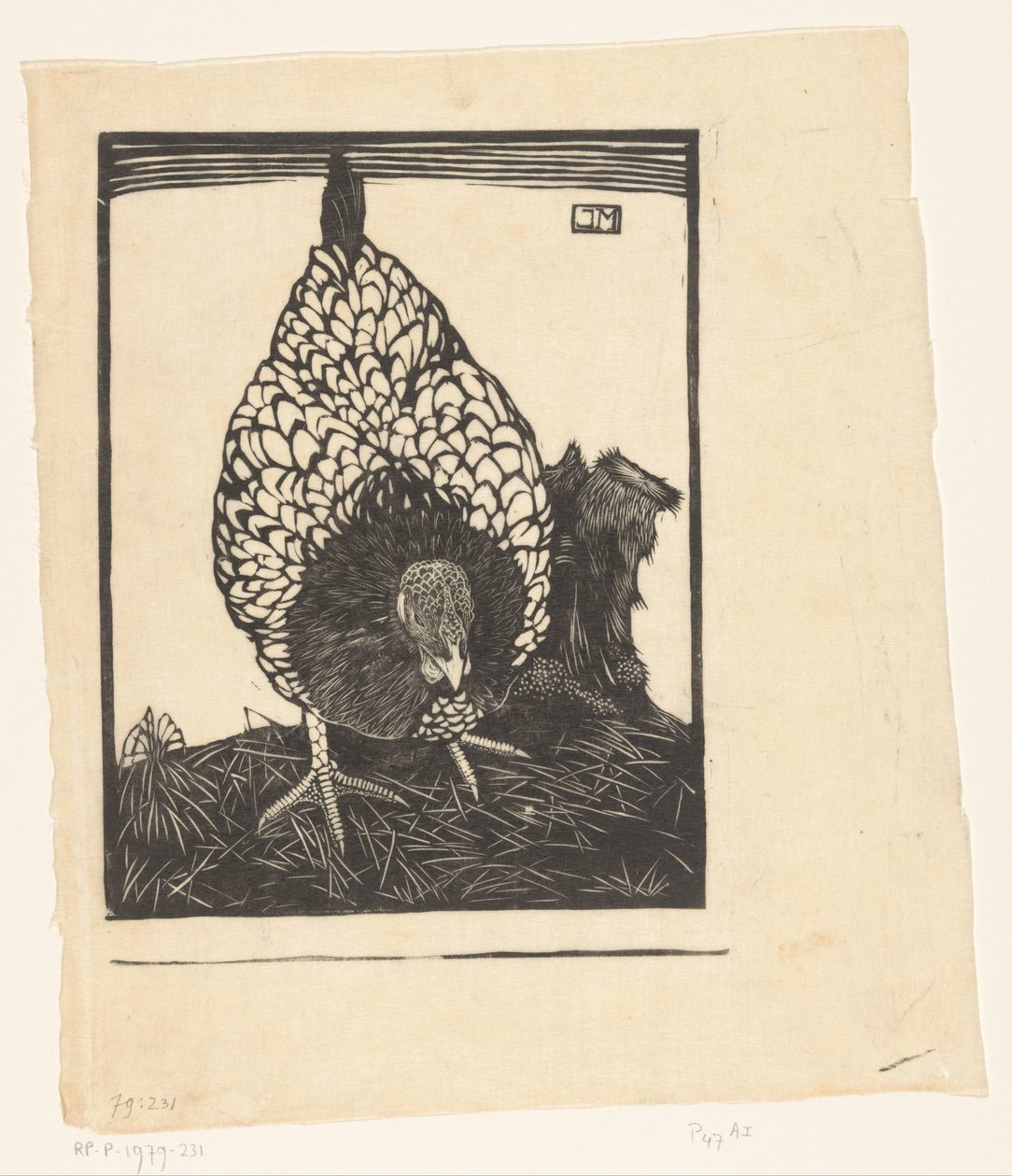 stříbrná wyandotte od Jan Mankes