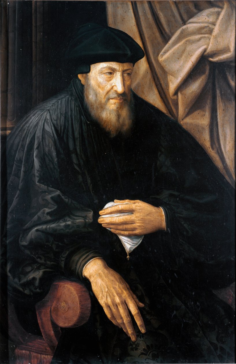 Portrét starého muže (pravděpodobně Andrea Doria) (Portrét Andrea Doria nebo d