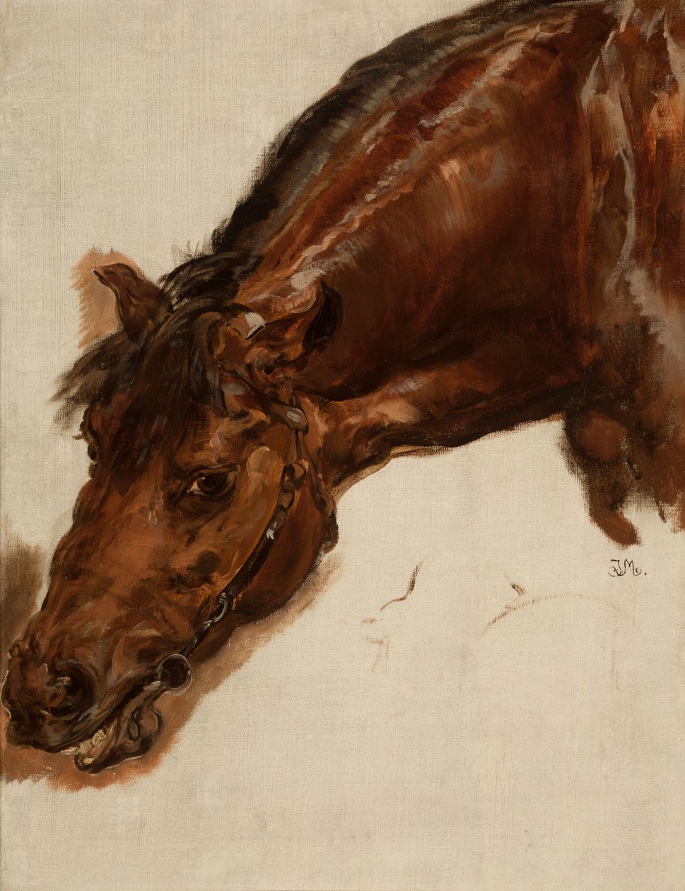 Studie hlavy koně od Jan Matejko
