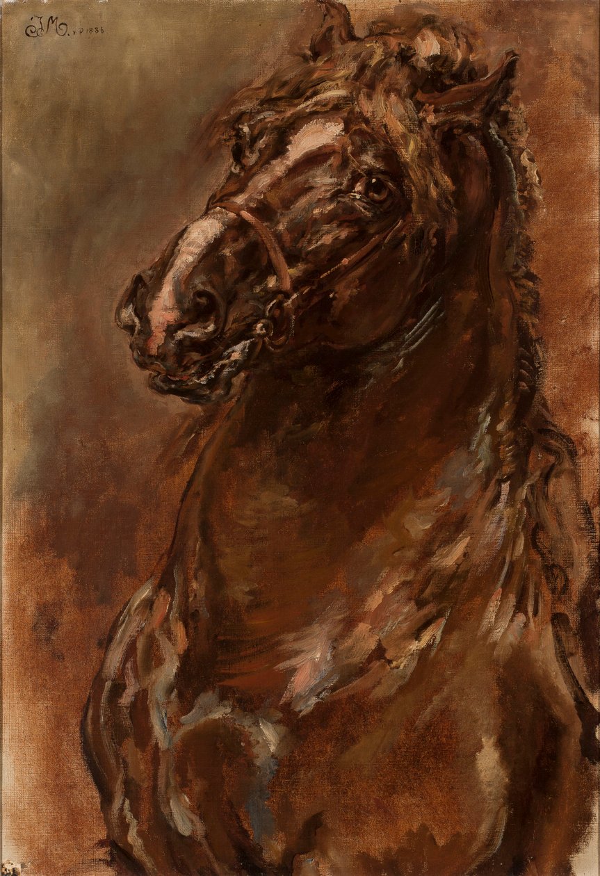 Studie koňské hlavy k dílu „Orleánská panna“ od Jan Matejko