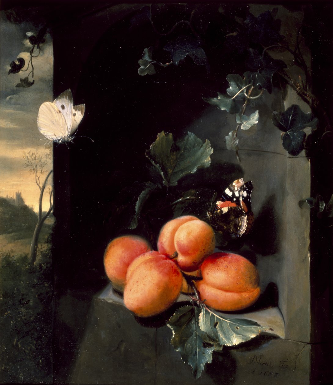 Zátiší s meruňkami a motýly, 1683 od Jan Mortel