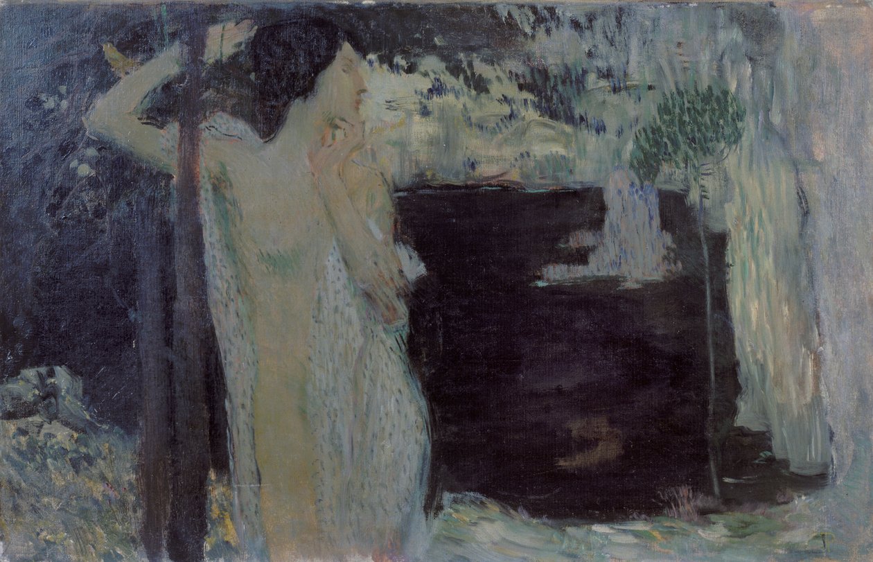 Žena u Černého jezera, 1904 od Jan Preisler