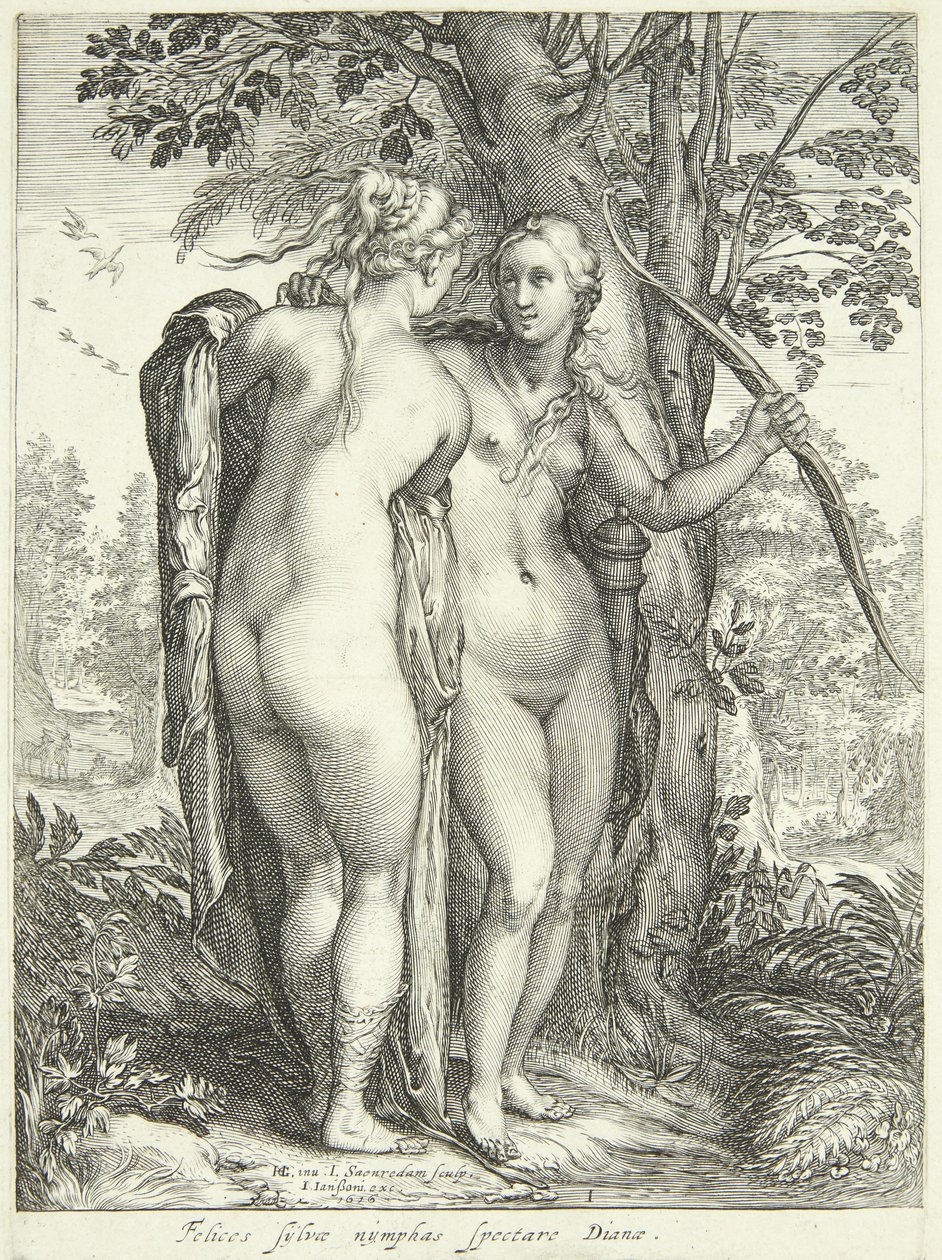 Diana a nymfa u stromu od Jan Saenredam