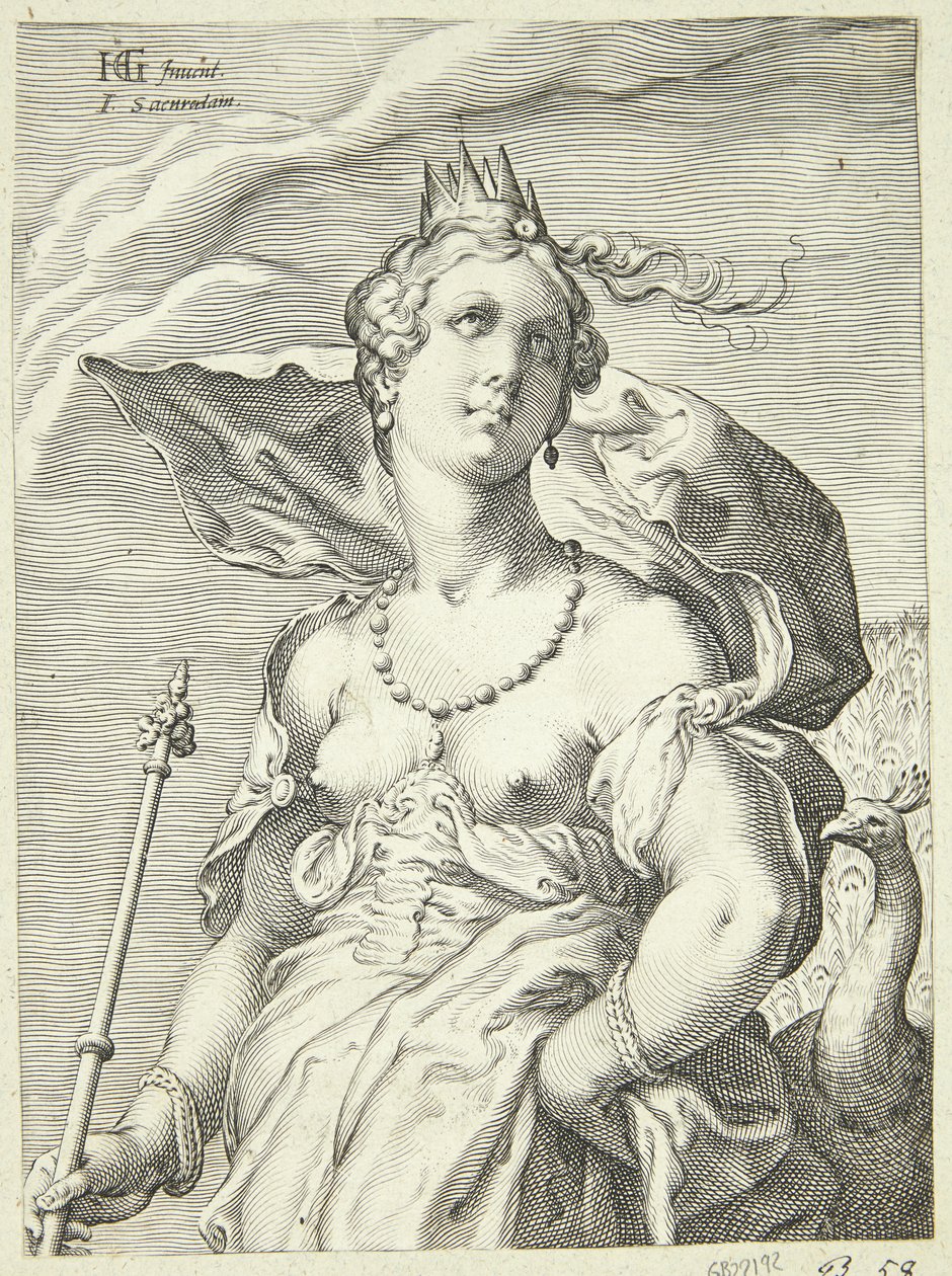 Juno od Jan Saenredam