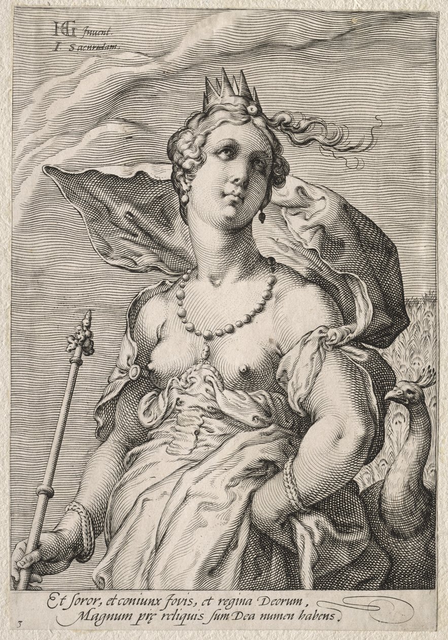 Juno od Jan Saenredam