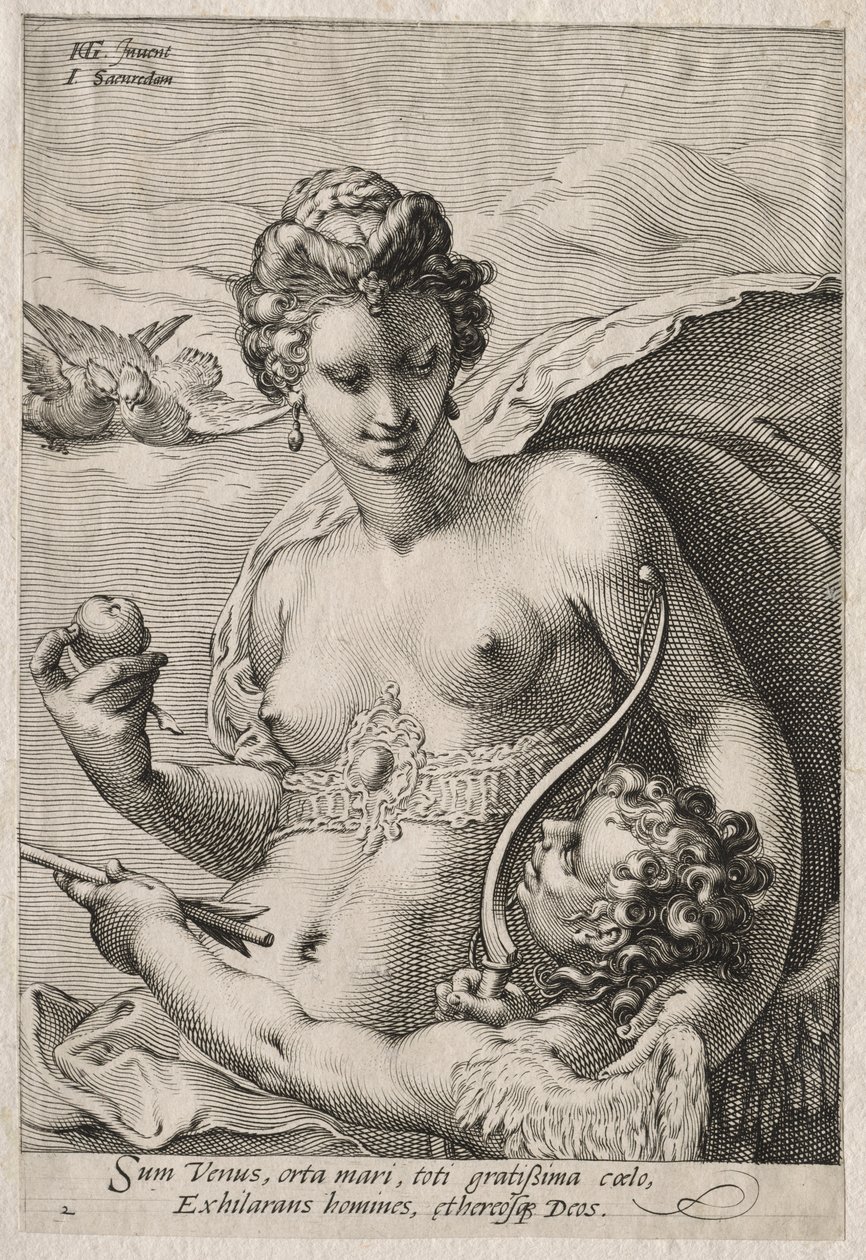 Venuše a Amor od Jan Saenredam