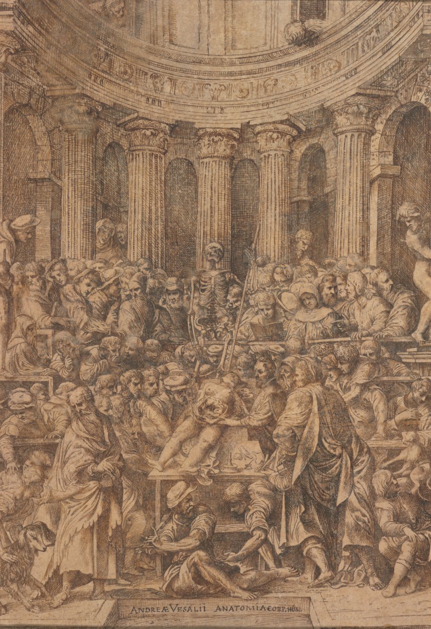 Titulní list knihy "Fabrica" od Andrease Vesalia (pero a tuš na papíře) od Jan Stephen Calcar