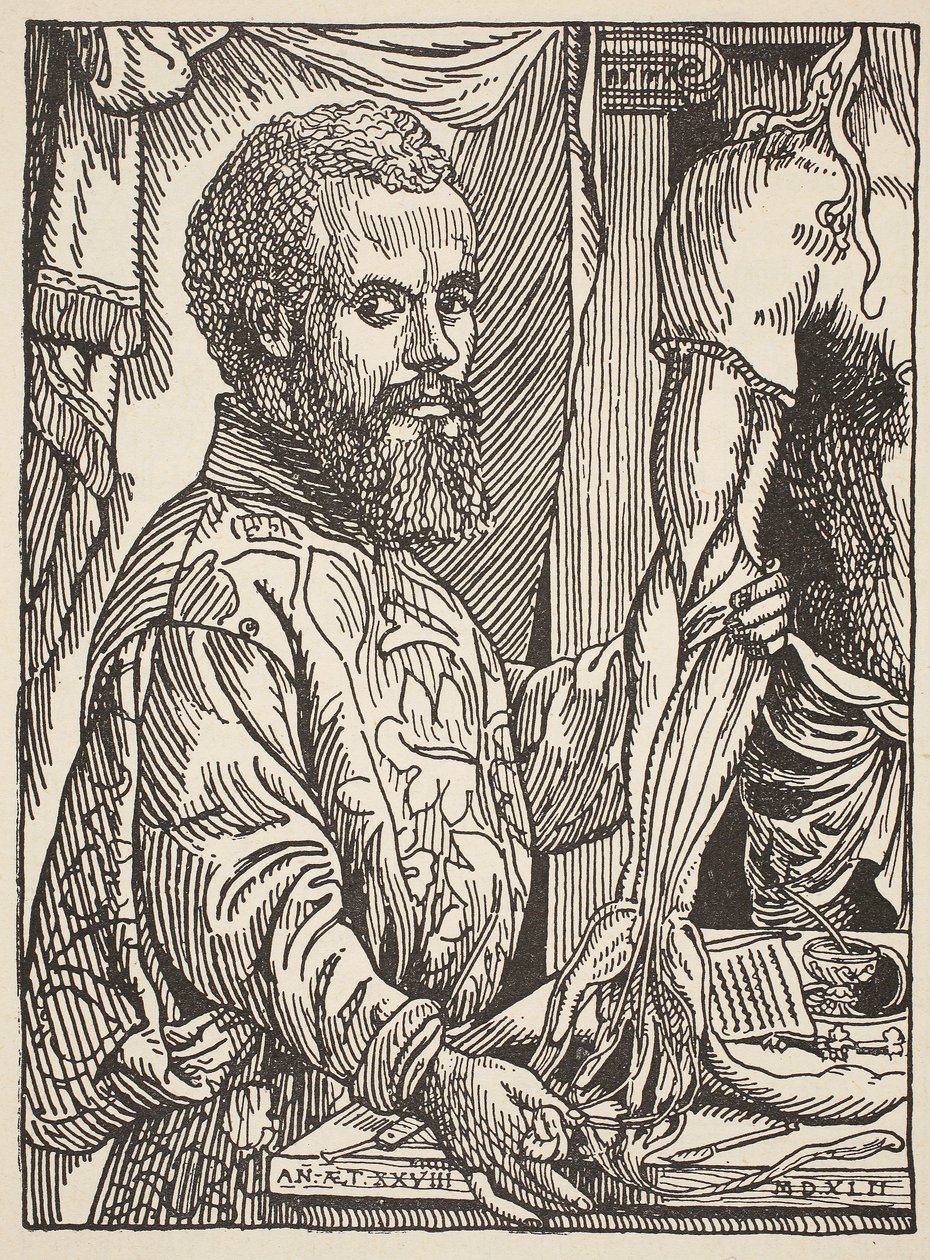 Andre Vesale, opis Boris Mestchersky († 1957), ilustrace z Histoire de la Nation Francaise, Sciences, Volume I and II, Gabriel Hanotaux (1853-1944), 1924 od Jan Stephen van Calcar