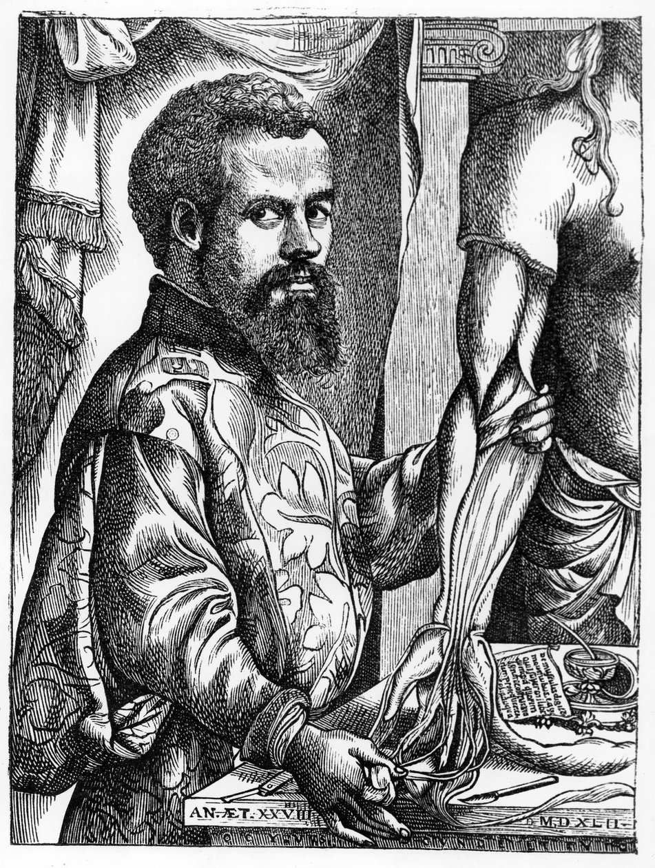 Portrét Andrease Vesalia (1514-64) z jeho knihy "De Humani Corporis Fabrica", 1543, ilustrace z knihy "Věda a literatura ve středověku a renesanci", kterou napsal a vyryl Paul Vesalius od Jan Stephen van Calcar