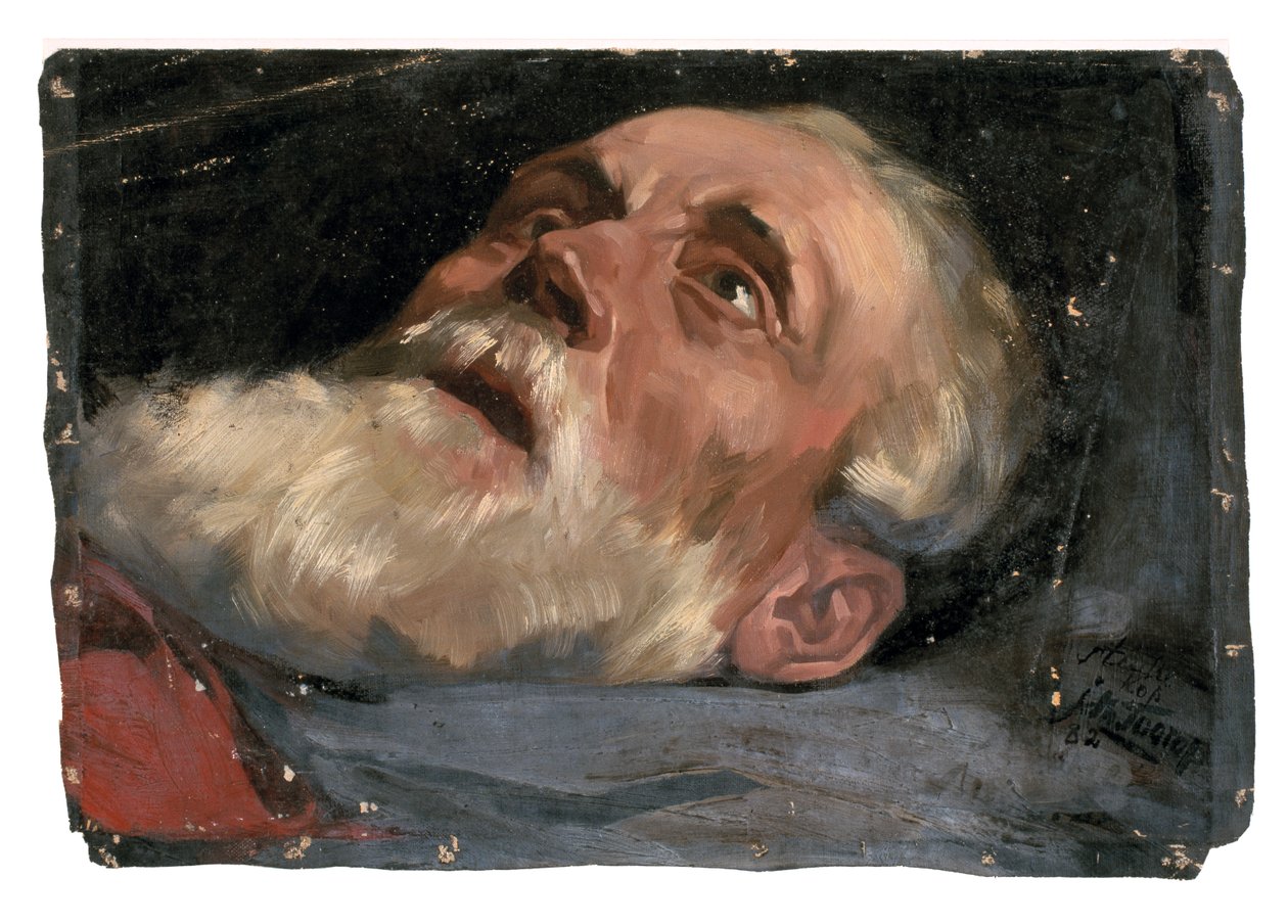 Hlava starého muže (studie) 1882 (olej na plátně) od Jan Toorop