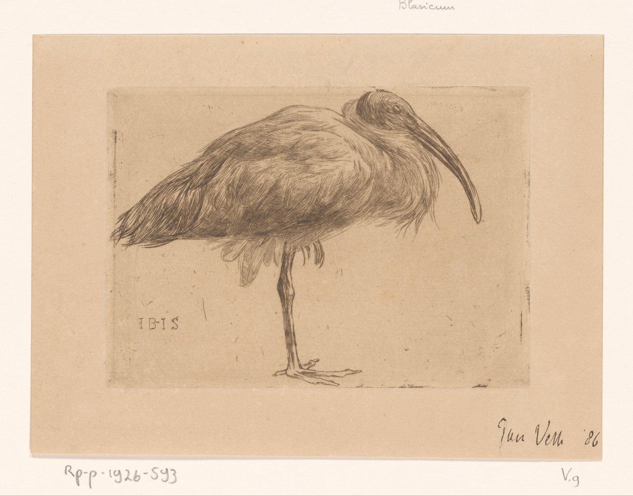 Ibis (původní název na objektu) od Jan Veth (signed by artist)
