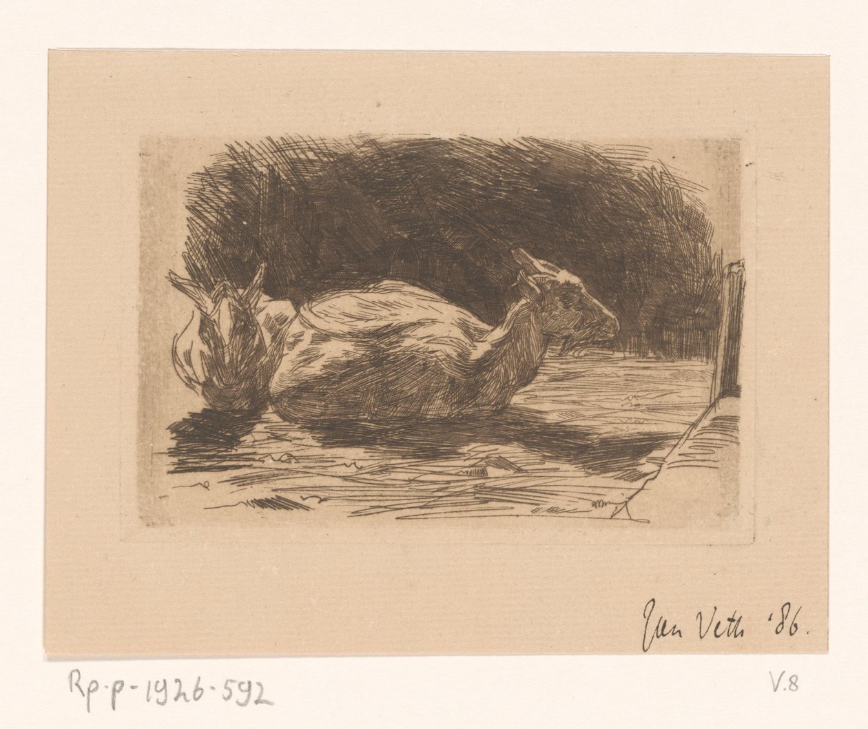 Dvě kozy od Jan Veth (signed by artist)