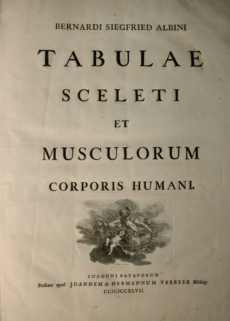 Albinus I, titulní strana, z knihy "Tabulae sceleti et musculorum corporis humani", kterou napsal Bernhard Siegfried Albinus (1697-1770), vydal J.undH. Verbeek, bibliop., Leiden, 1747 od Jan Wandelaar