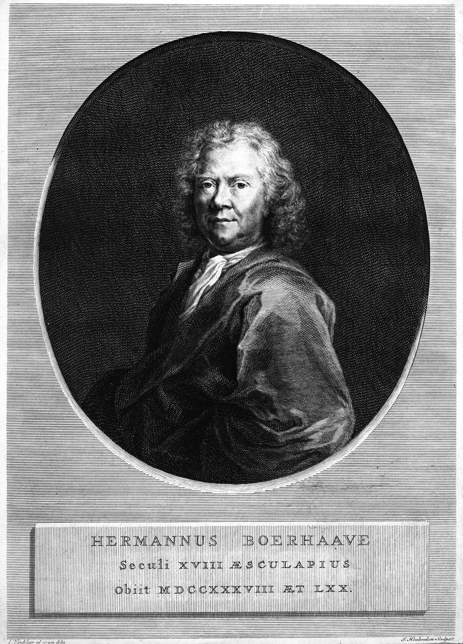 Herman Boerhaave, vyryl Jacobus Houbraken od Jan Wandelaar