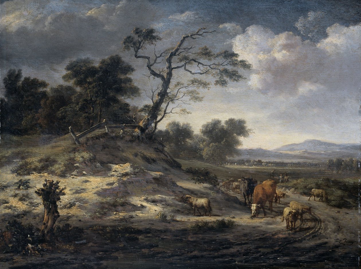  od Jan Wijnants