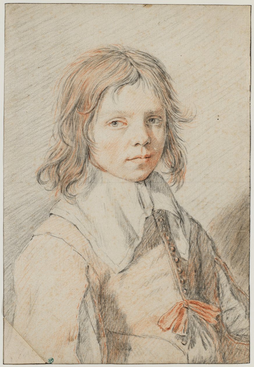 Portrét chlapce od Jan de Bray