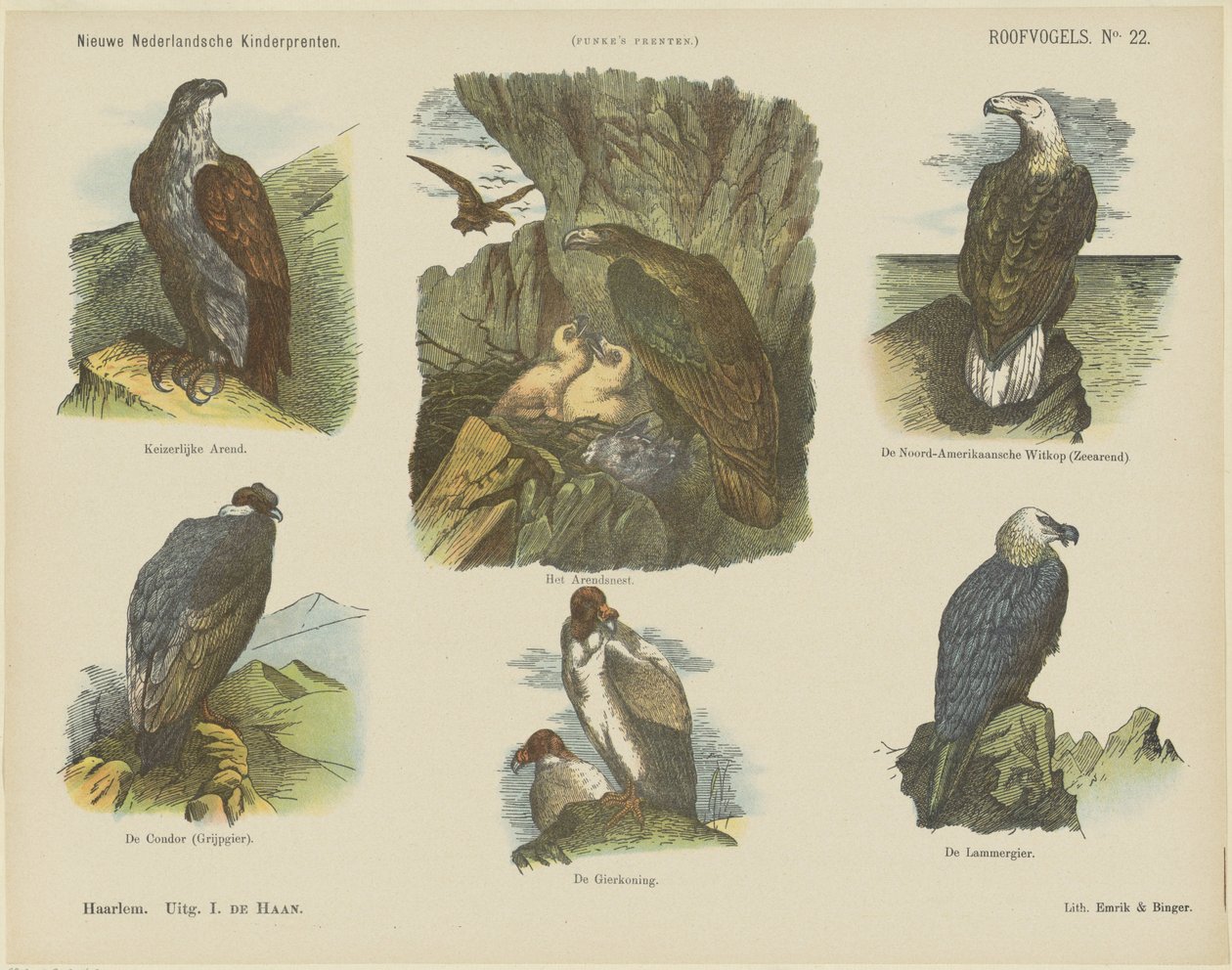 Birds of Prey (název na objektu) Nové holandské dětské tisky (název série na předmětu) Funkeho tisky (název série na objektu) od Jan de Haan