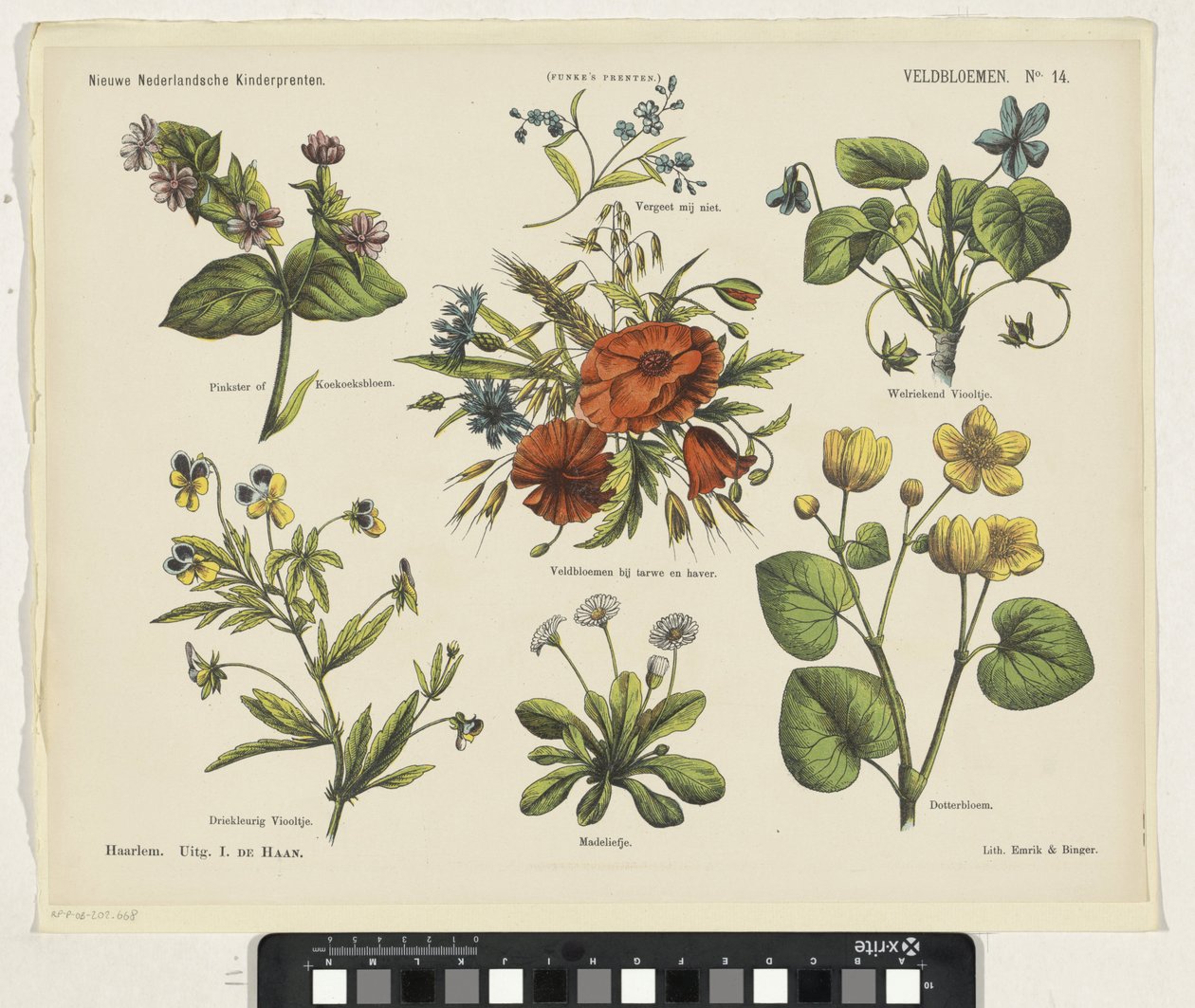 Wildflowers (název na objektu) Nové holandské dětské tisky (název série na předmětu) Funkeho tisky (název série na objektu) od Jan de Haan
