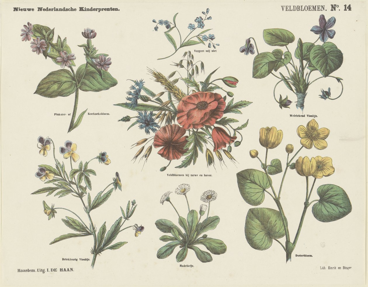 Wildflowers (název na objektu) Nové holandské dětské tisky (název série na předmětu) od Jan de Haan