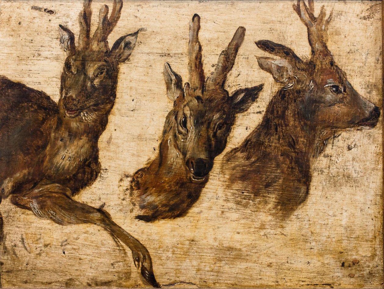  od Jan the Elder Brueghel