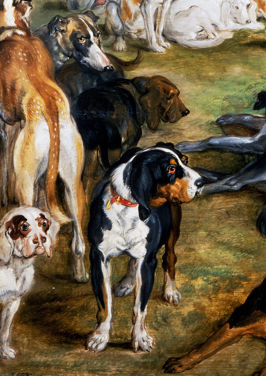 Psi, detail od Diany a Nymfy na místě odjezdu od Jan the Elder Brueghel