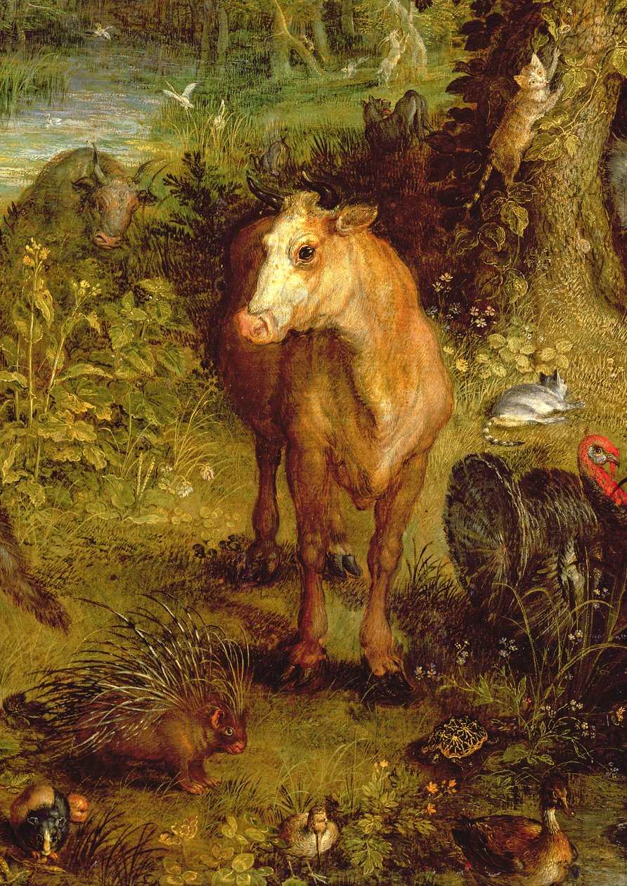 Země nebo pozemský ráj, detail krávy, dikobraza a dalších zvířat, 1607-08 olej na měděném detailu 93899 od Jan the Elder Brueghel