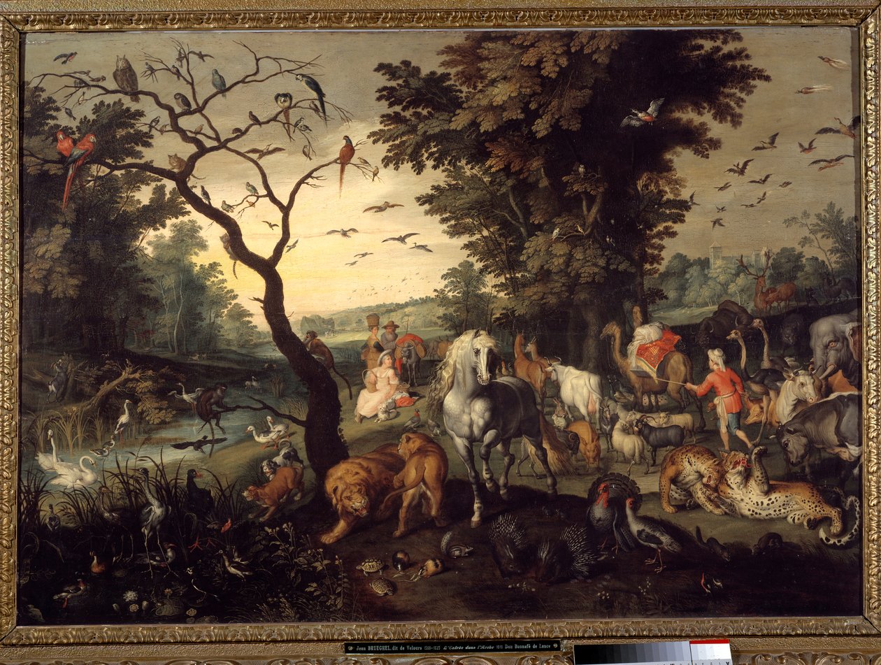 Vchod do archy Zvířata vstupují do Noeovy archy před potopou. Obraz Jana Brueghela staršího nazývá Brueghel de Velours od Jan the Elder Brueghel