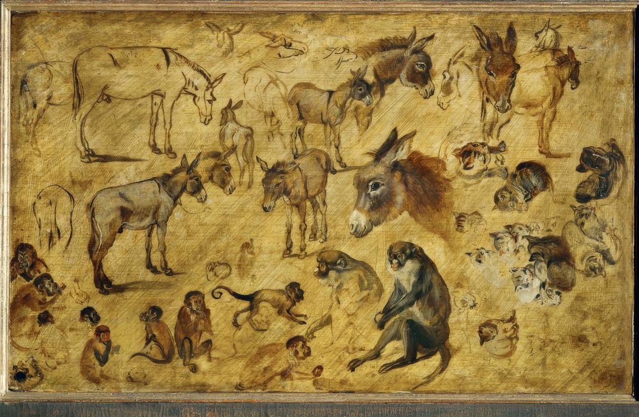 Tierstudien od Jan the Elder Brueghel