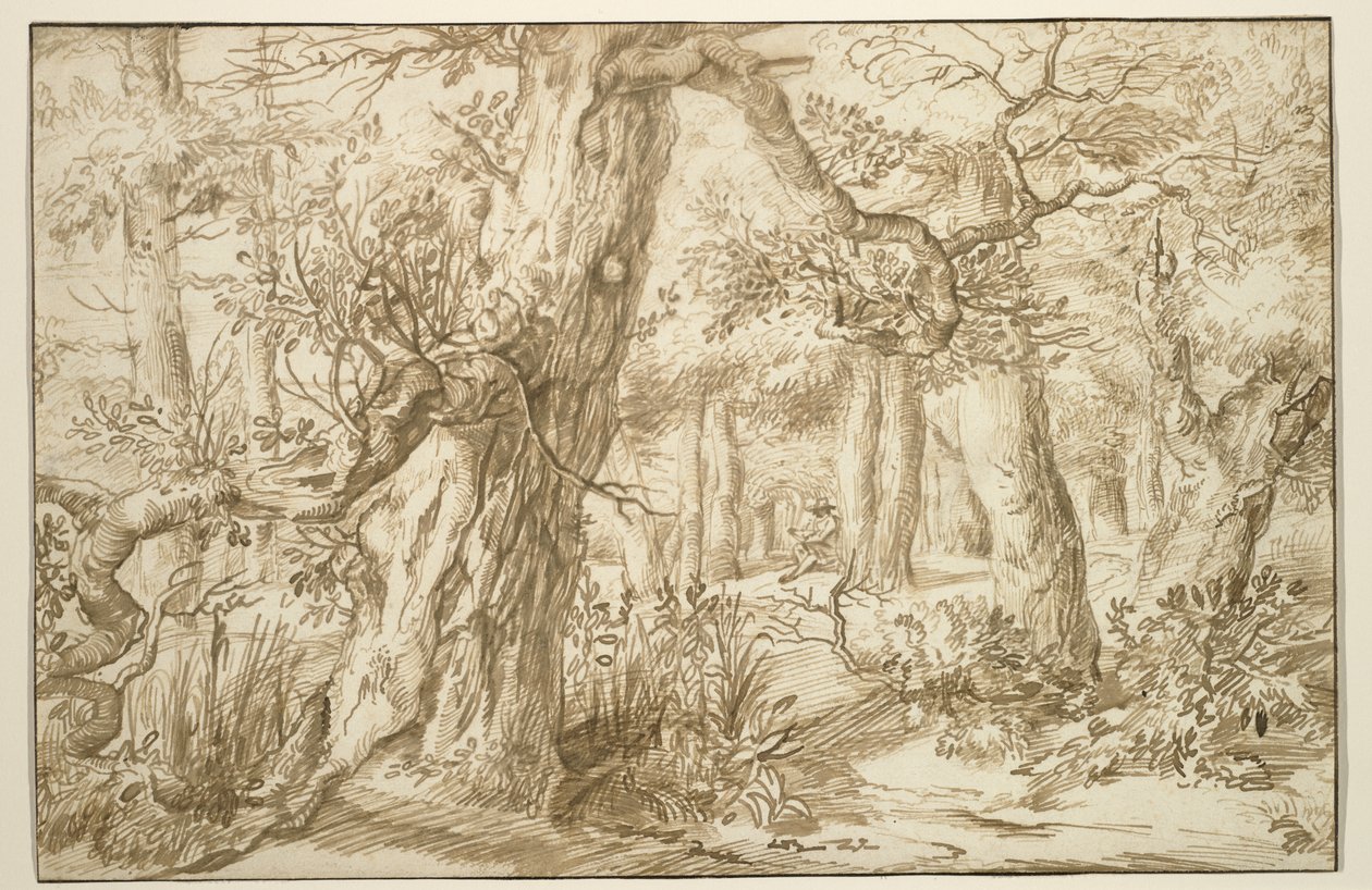 Forest Interior with Draftsman, c.1664 (hnědý inkoust na starožitném papíru) od Jan the Elder Lievens