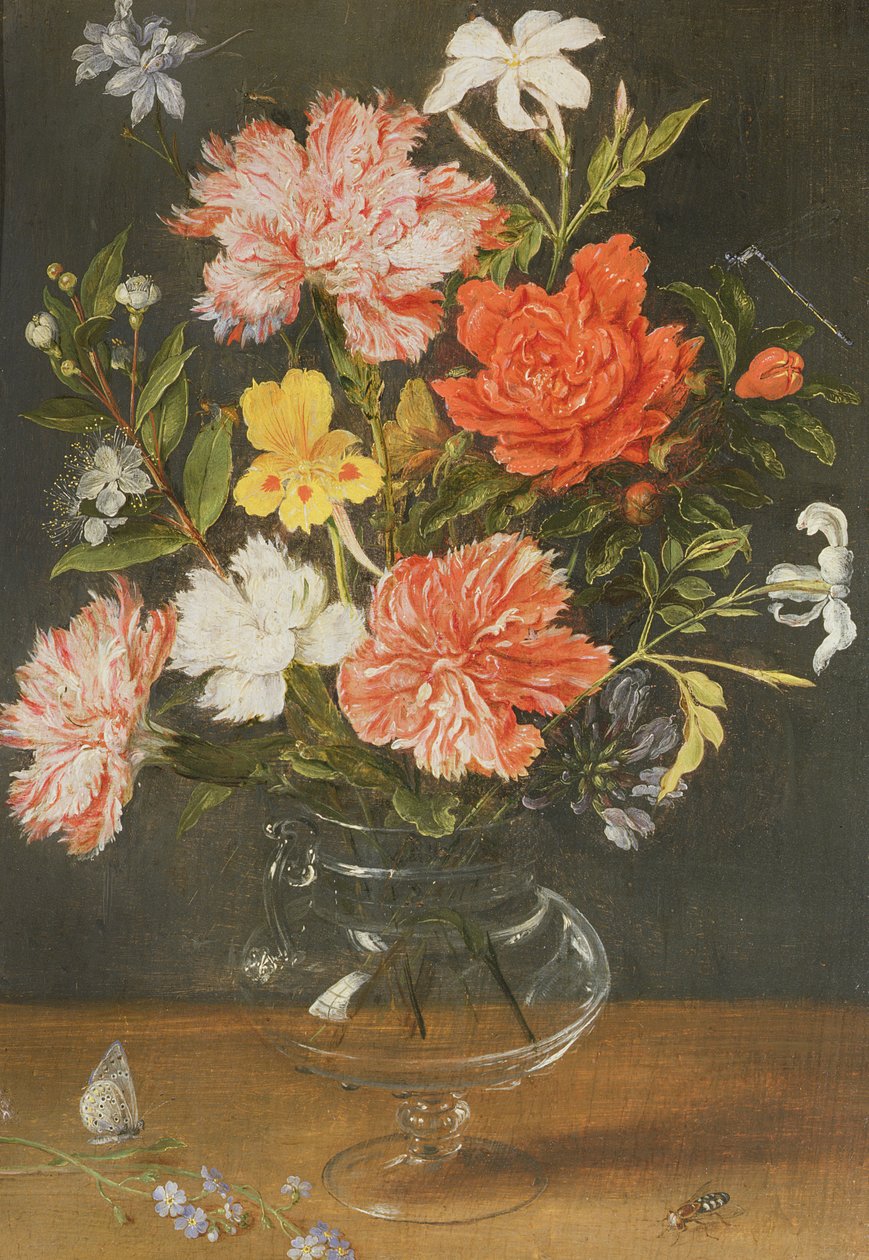 Zátiší z karafiátů a jiných květin od Jan Brueghel the Younger