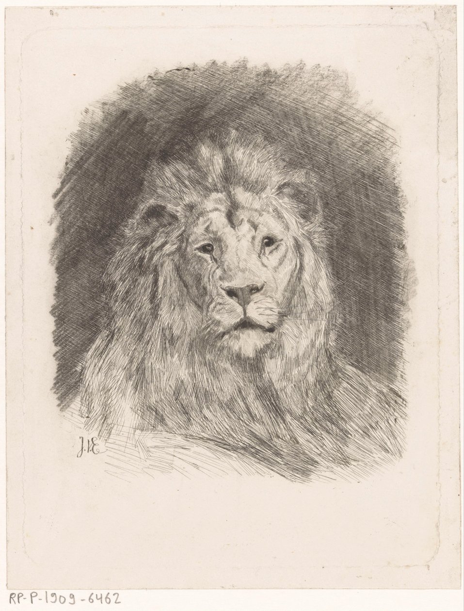 Hlava lva od Jan van Essen