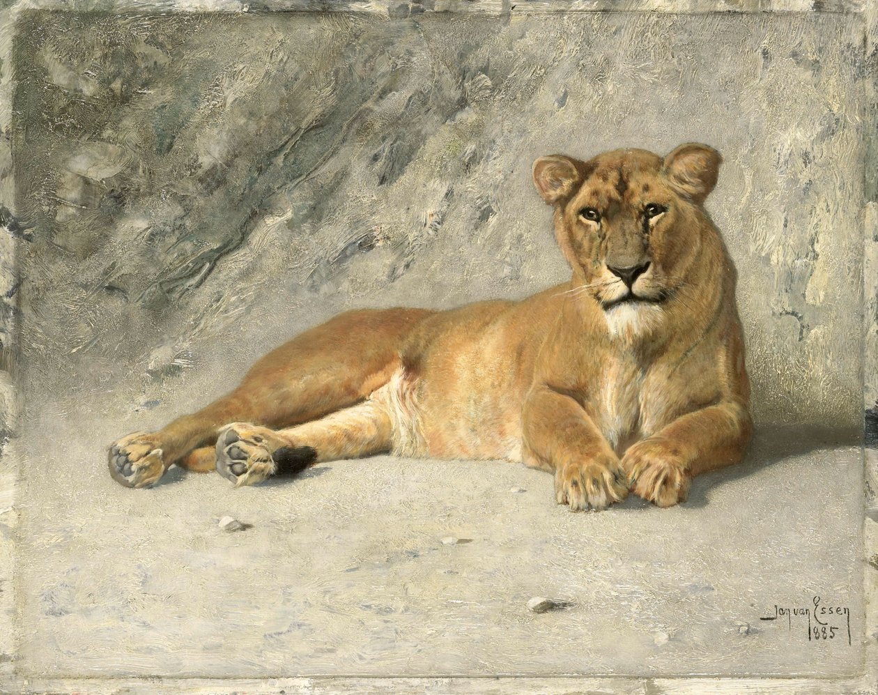  od Jan van Essen