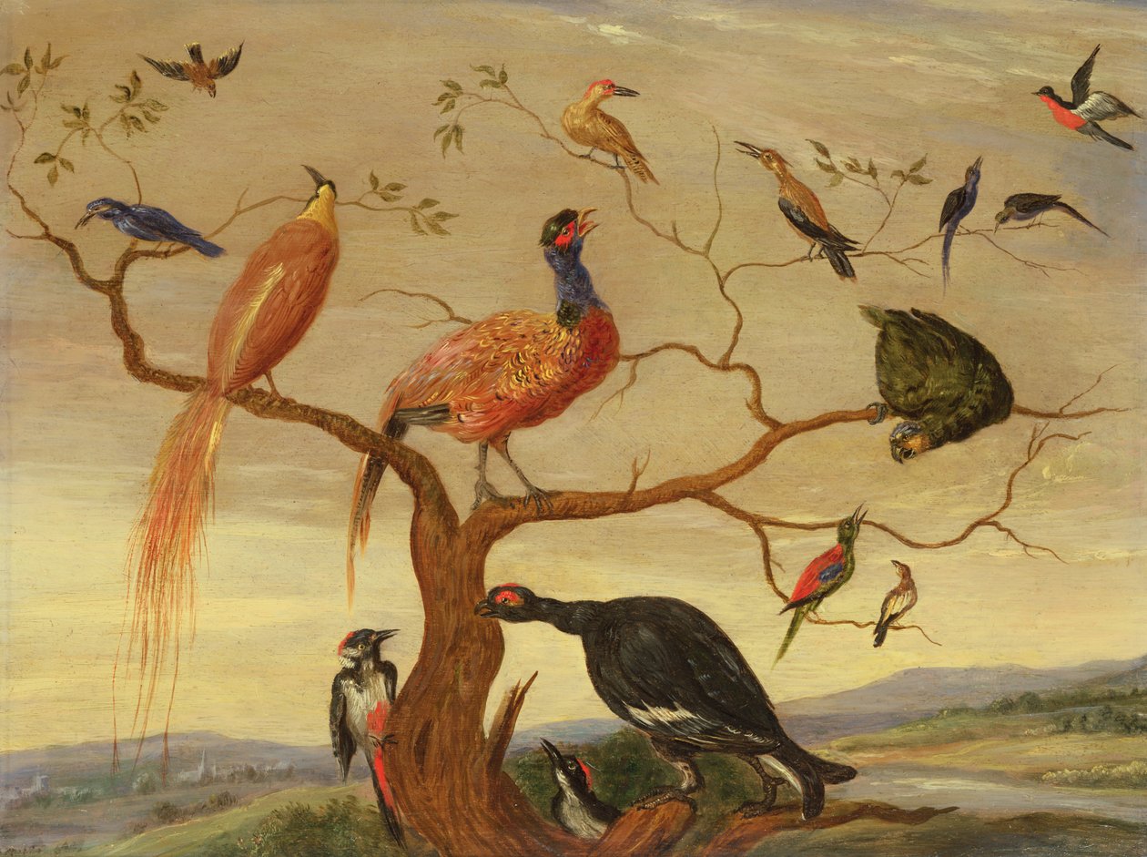 Koncert ptáků (olej na měděném panelu) od Jan van Kessel the Elder