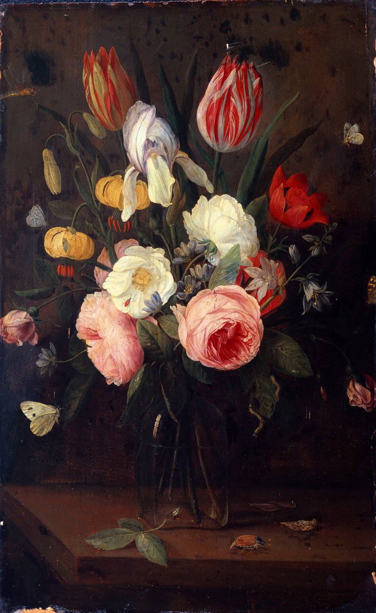 Růže, tulipány a další květiny ve skleněné váze, s hmyzem, na stole od Jan van Kessel