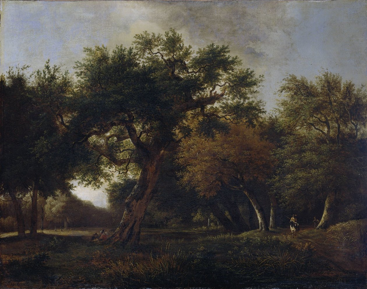 Pohled v lese od Jan van  Kessel